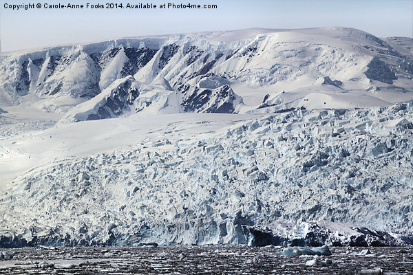 Glacier in Cierva Cove Antarctica Picture Board by Carole-Anne Fooks