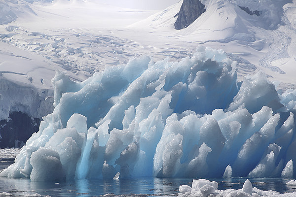 Iceberg Cierva Cove Antarctica Picture Board by Carole-Anne Fooks