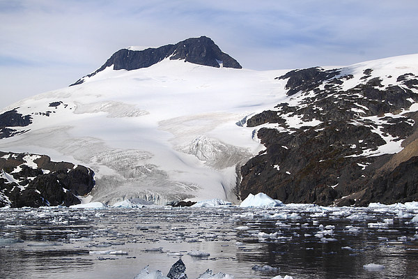 Glacier in Cierva Cove Antarctica Picture Board by Carole-Anne Fooks