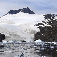 Buy canvas prints of Glacier in Cierva Cove Antarctica by Carole-Anne Fooks