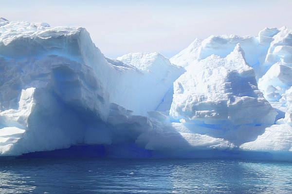 Iceberg Detail Cierva Cove, Antarctica Picture Board by Carole-Anne Fooks
