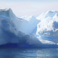 Buy canvas prints of Iceberg Detail Cierva Cove, Antarctica by Carole-Anne Fooks