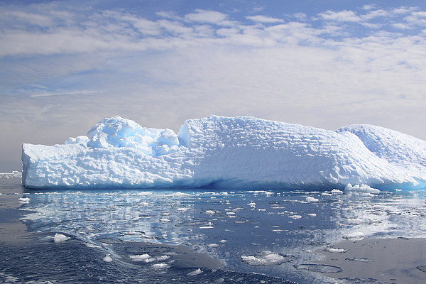 Iceberg in Cierva Cove, Antarctica Picture Board by Carole-Anne Fooks