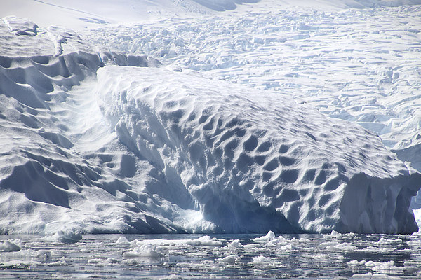 Glacier detail Cierva Cove Antarctica Picture Board by Carole-Anne Fooks