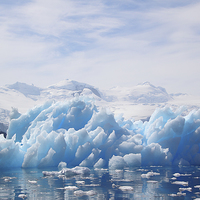 Buy canvas prints of Iceberg Cierva Cove Antarctica by Carole-Anne Fooks