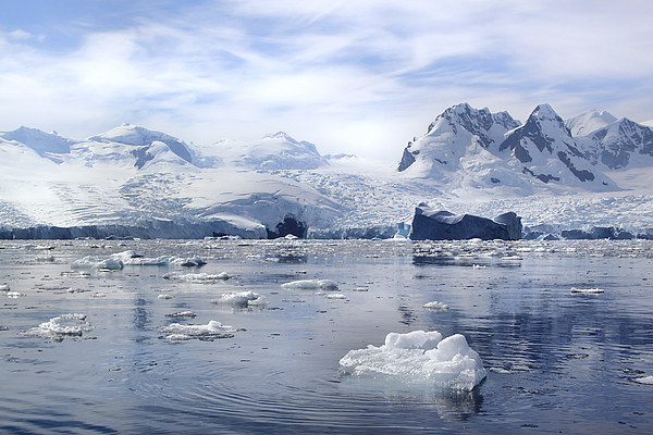 Glaciers in Cierva Cove Antarctica Picture Board by Carole-Anne Fooks