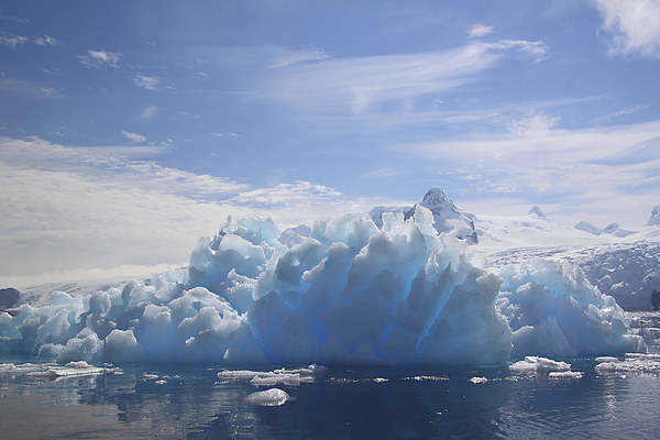 Cierva Cove Iceberg & Glaciers Picture Board by Carole-Anne Fooks