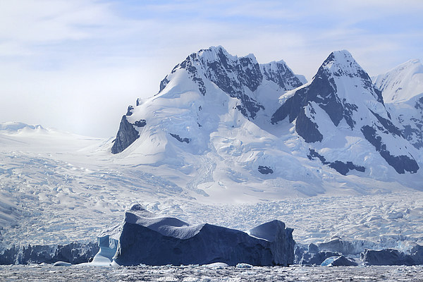 Cierva Cove Iceberg & Glaciers Picture Board by Carole-Anne Fooks