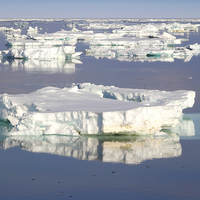 Buy canvas prints of Ice Floes in the Bransfield Straight Antarctica by Carole-Anne Fooks