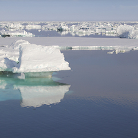 Buy canvas prints of Ice Floes in the Bransfield Straight Antarctica by Carole-Anne Fooks