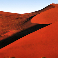 Buy canvas prints of Bold Sculptural Dune, Namibia by Carole-Anne Fooks