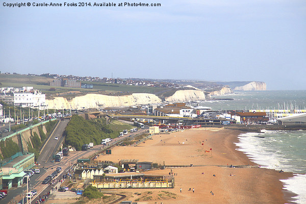  Brighton Beach & South Downs National Park Picture Board by Carole-Anne Fooks