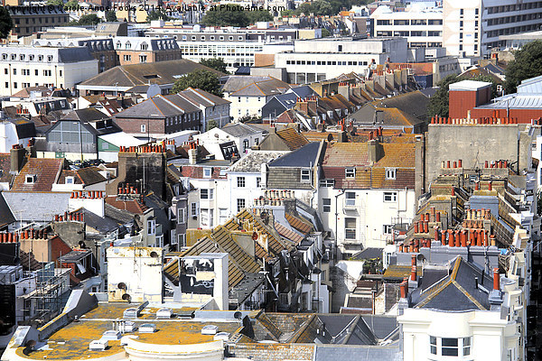  Roofs of Brighton From the Ferris Wheel Picture Board by Carole-Anne Fooks