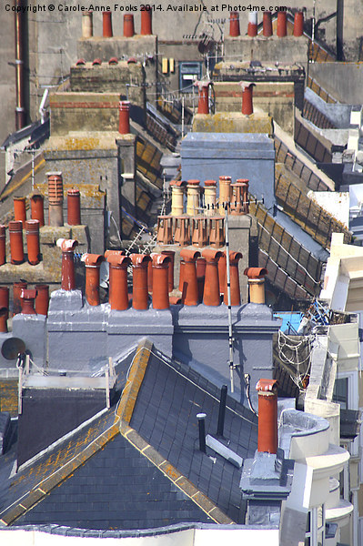   Roofs of Brighton From the Ferris Wheel Picture Board by Carole-Anne Fooks