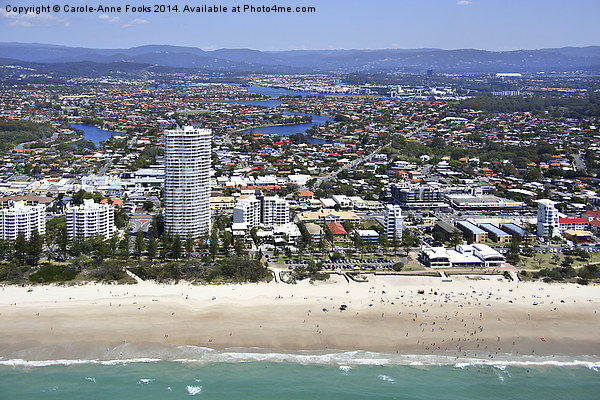  Along the Gold Coast Picture Board by Carole-Anne Fooks