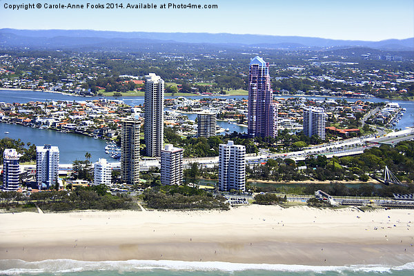   High Rise Along The Gold Coast Picture Board by Carole-Anne Fooks
