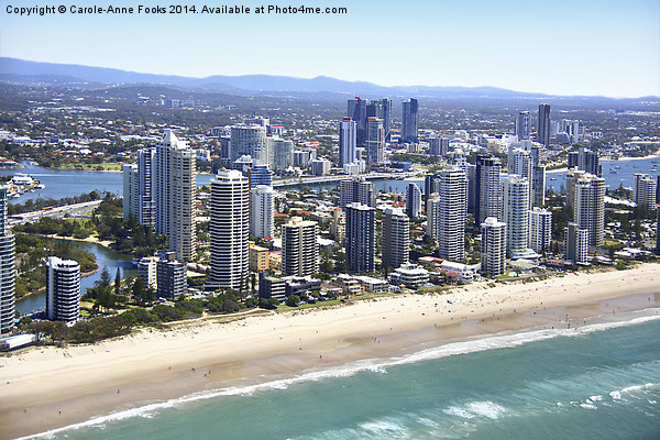  High Rise Along The Gold Coast Picture Board by Carole-Anne Fooks