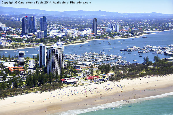  The Gold Coast & The Spit Picture Board by Carole-Anne Fooks