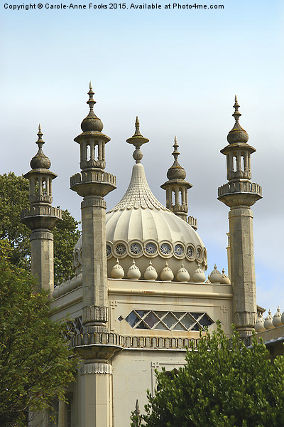  The Royal Pavilion Brighton Picture Board by Carole-Anne Fooks