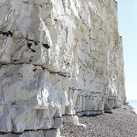 Buy canvas prints of    Seven Sisters At Birling Gap by Carole-Anne Fooks