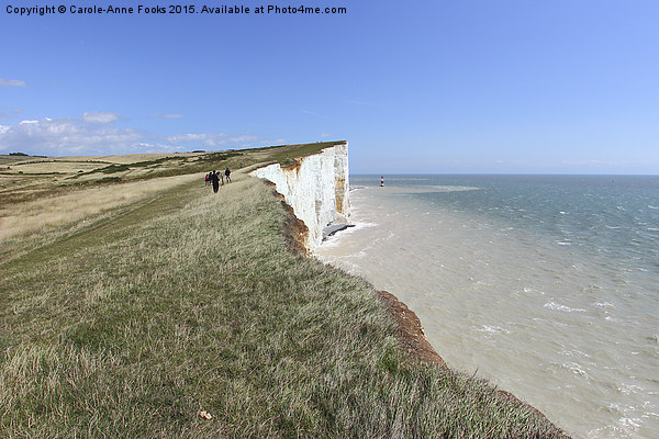  Seven Sisters From The Cliffs East Of Birling Gap Picture Board by Carole-Anne Fooks