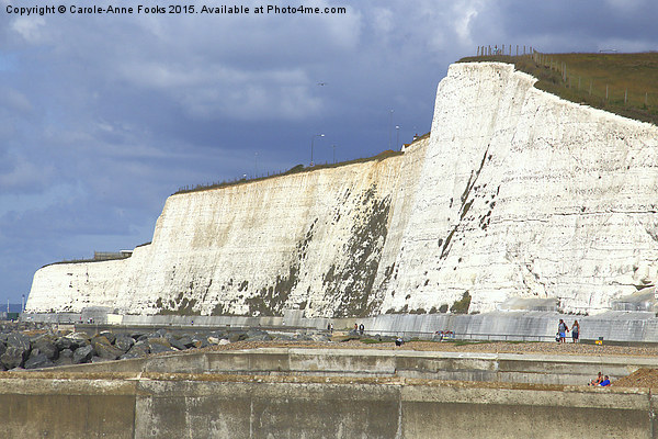  Chalk Cliffs at Saltdean East Sussex Picture Board by Carole-Anne Fooks