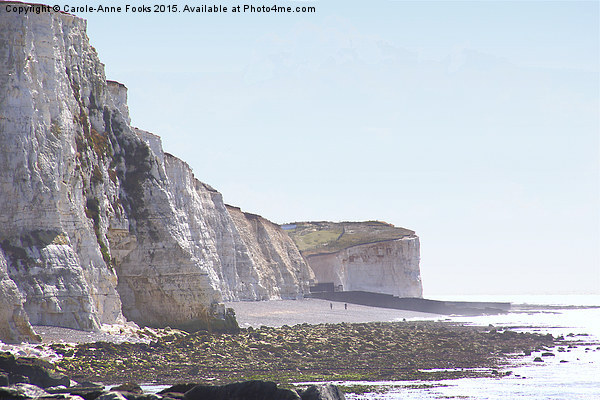  Chalk Cliffs at Saltdean East Sussex Picture Board by Carole-Anne Fooks