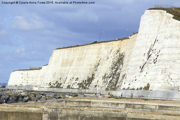   Chalk Cliffs at Saltdean East Sussex Picture Board by Carole-Anne Fooks