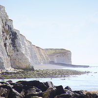 Buy canvas prints of   Chalk Cliffs at Saltdean East Sussex by Carole-Anne Fooks