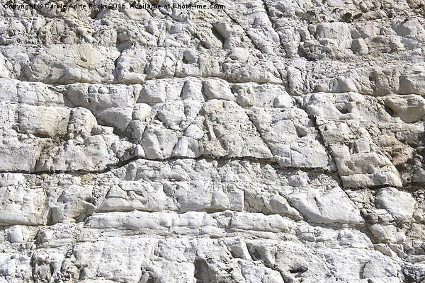  Detail Chalk Cliffs Saltdean East Sussex Picture Board by Carole-Anne Fooks