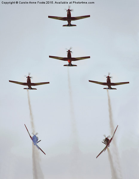  The Roulettes Picture Board by Carole-Anne Fooks