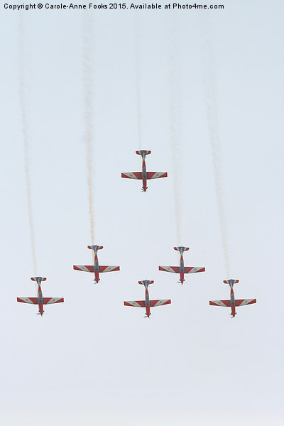   The Roulettes Picture Board by Carole-Anne Fooks