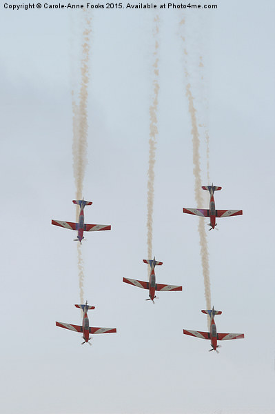    The Roulettes Picture Board by Carole-Anne Fooks