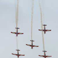 Buy canvas prints of    The Roulettes by Carole-Anne Fooks