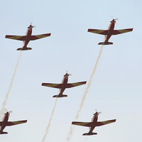 Buy canvas prints of  The Roulettes by Carole-Anne Fooks