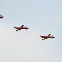 Buy canvas prints of    The Roulettes by Carole-Anne Fooks