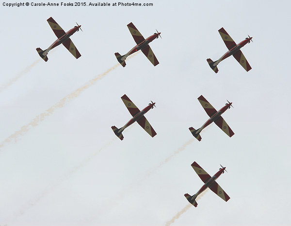  The Roulettes  Picture Board by Carole-Anne Fooks