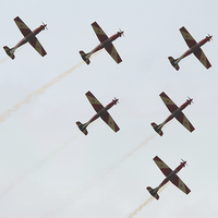 Buy canvas prints of  The Roulettes  by Carole-Anne Fooks