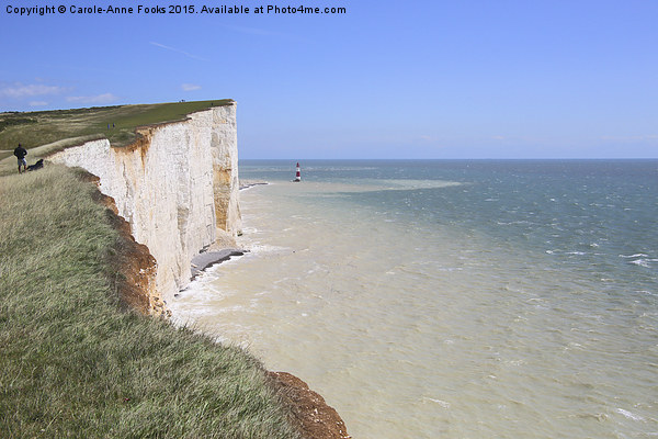  Seven Sisters From The Top Of The Cliffs Picture Board by Carole-Anne Fooks