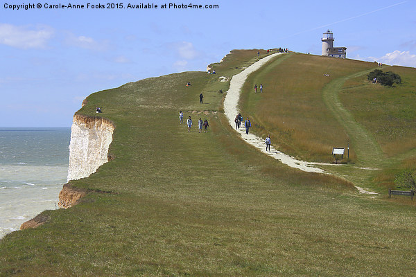   Seven Sisters From The Top Of The Cliffs Picture Board by Carole-Anne Fooks