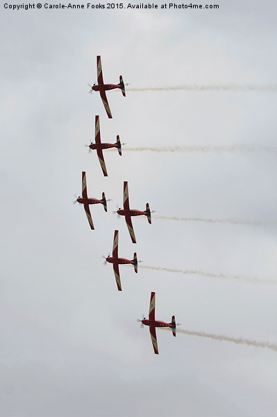  The Roulettes  Picture Board by Carole-Anne Fooks