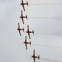 Buy canvas prints of  The Roulettes  by Carole-Anne Fooks