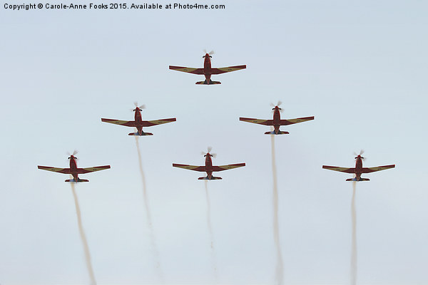    The Roulettes  Picture Board by Carole-Anne Fooks