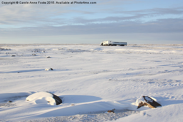  Tundra Buggy Lodge on the Vast Tundra Picture Board by Carole-Anne Fooks