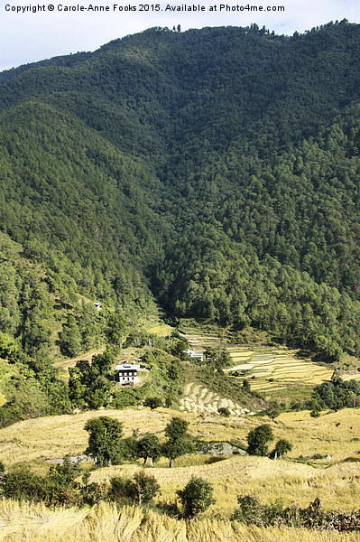  Eastern Himalaya Bhutan Picture Board by Carole-Anne Fooks
