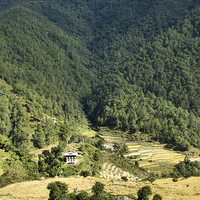 Buy canvas prints of  Eastern Himalaya Bhutan by Carole-Anne Fooks