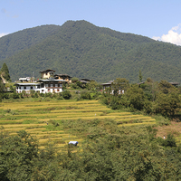 Buy canvas prints of  Farms & Landscape, Bhutan by Carole-Anne Fooks