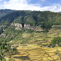 Buy canvas prints of  The Paro Valley, Bhutan by Carole-Anne Fooks