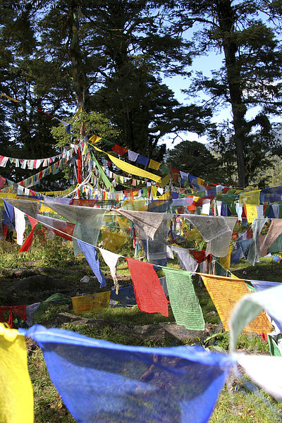  Prayer Flags  in Bhutan Picture Board by Carole-Anne Fooks