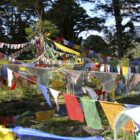 Buy canvas prints of   Prayer Flags  in Bhutan by Carole-Anne Fooks